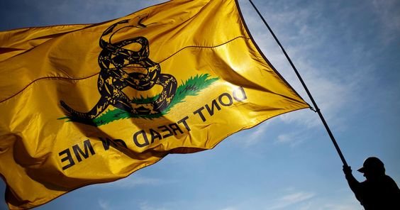 Why is the Gadsden Flag Significant in American History?