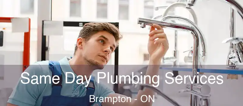 Why Homeowners Need a Trusted Plumber for Emergency Repairs