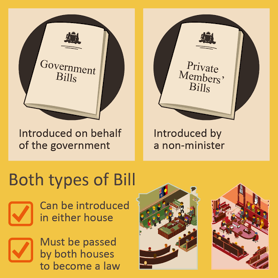 From Ballot to Law: The Journey of Introducing a Member’s Bill in Modern Governance